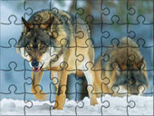Mega Puzzle - Wilk.jpg