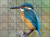 Mega Puzzle - Zimorodek.jpg