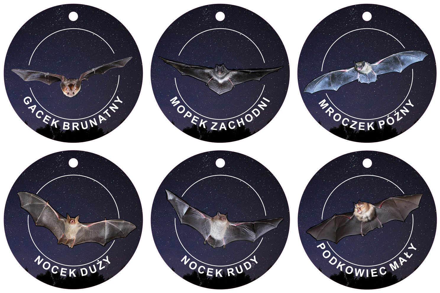wizual promocja zestaw medali (75 mm) - Nietoperze-1.jpg