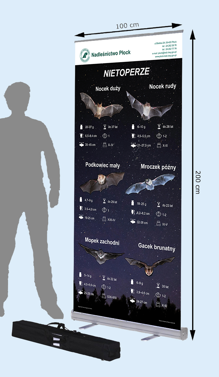 wizualizacja promocja roll-upa 2 - Nietoperze.jpg