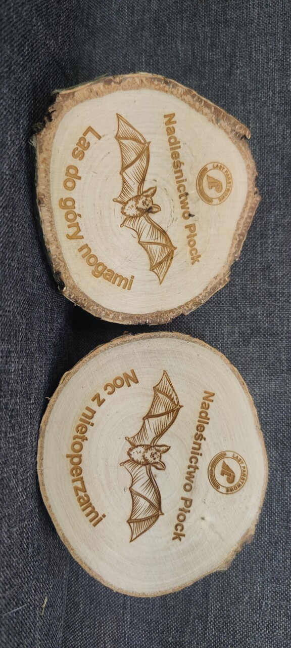 podstawka nietoperze Płock_Easy-Resize.com.jpg