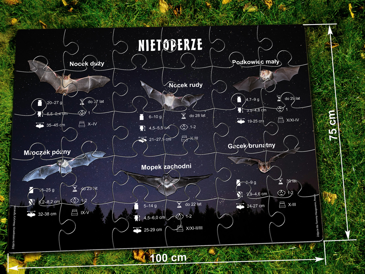 wizual promocja MEGApuzzle v3 - (Nietoperze).jpg