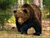 Mega Puzzle - Niedźwiedź.jpg