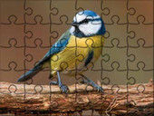 Mega Puzzle - Modraszka.jpg