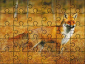Mega Puzzle - Lis.jpg